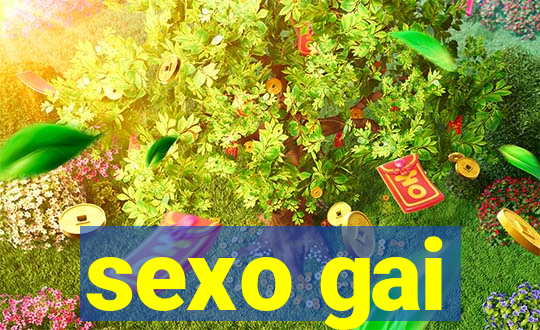 sexo gai